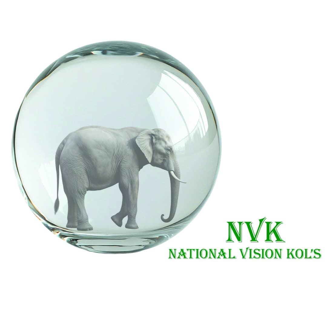 Logo NVK